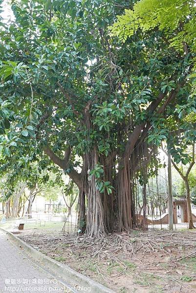 image049-優遊步調-嘉義公園~休閒與假日的好去處~.jpg