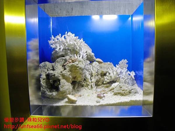 image027_YoYoTempo_國立海洋生物博物館.jpg