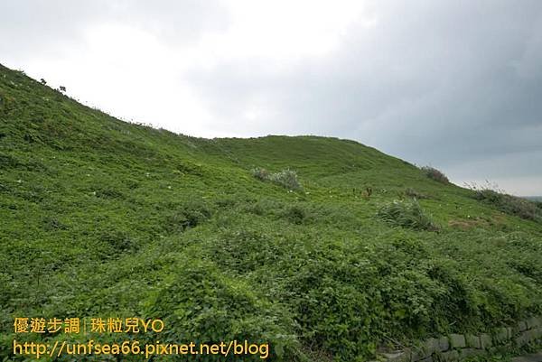 image047_YoYoTempo_新北老梅迷宮與富貴角燈塔.jpg