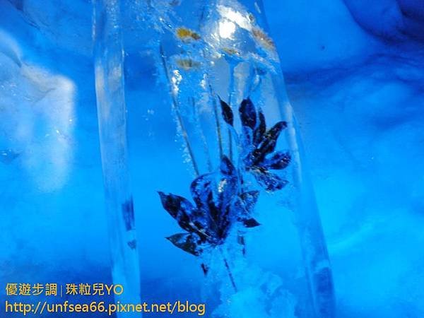 image153_YoYoTempo_瑞士TITLIS鐵力士山纜車賞雪趣.jpg