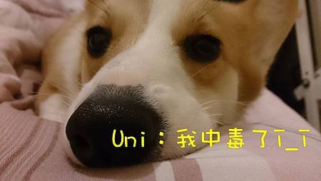 2014-02-22 01.19.11.jpg