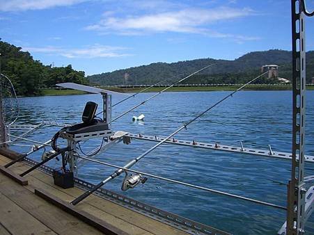 大頭鰱的釣法