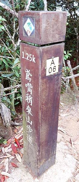 1090925鳶嘴山-094734.jpg