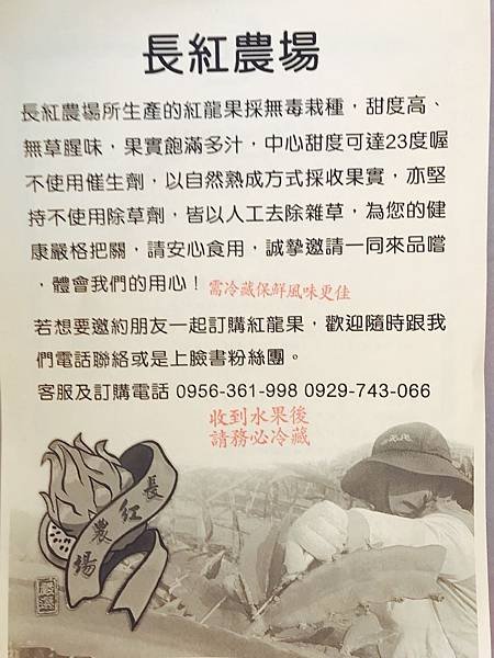  【網購】送禮也要送健康！台北人最愛水果禮盒推薦！動動手指水果宅配到你家(高雄產地直送)–外銷等級長紅農場火龍果禮盒