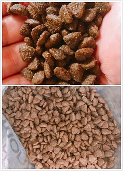 【開箱】成犬飼料 / 狗飼料 / 柴犬飼料推薦。100%無穀羊肉配方 + 超過65%動物食材來源專治挑嘴狗狗－ 義大利 Monge 瑪恩吉真野無穀成犬配方（羊肉 + 馬鈴薯 + 豌豆）
