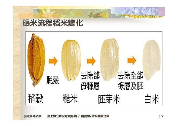 碾米流程稻米變化-13