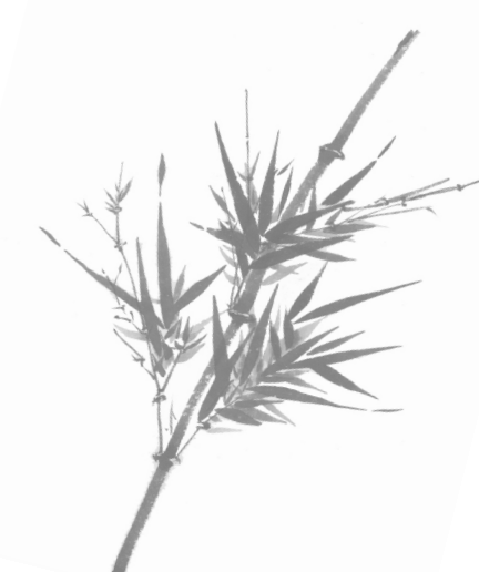 71.PNG