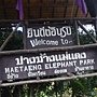 DSC07958.JPG