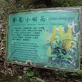 DSC05445