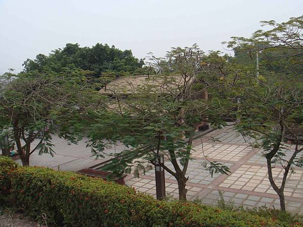 DSC07879