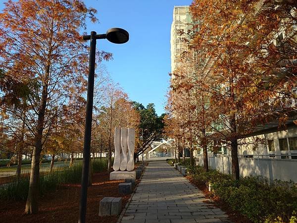 「台中」中國醫藥大學