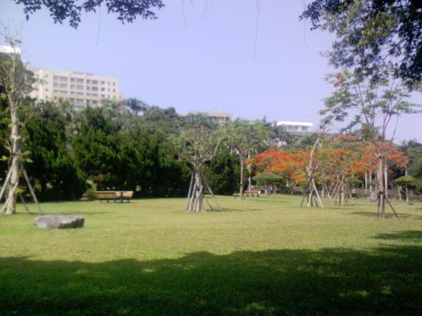 DSC00061.JPG