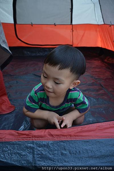 DSC_9563.JPG