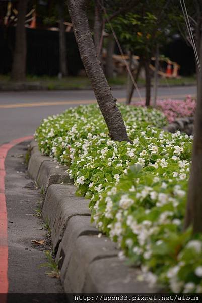 DSC_9600.JPG