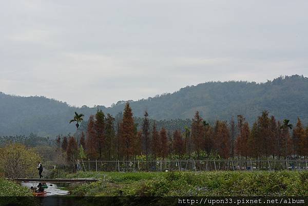 DSC_0554.JPG