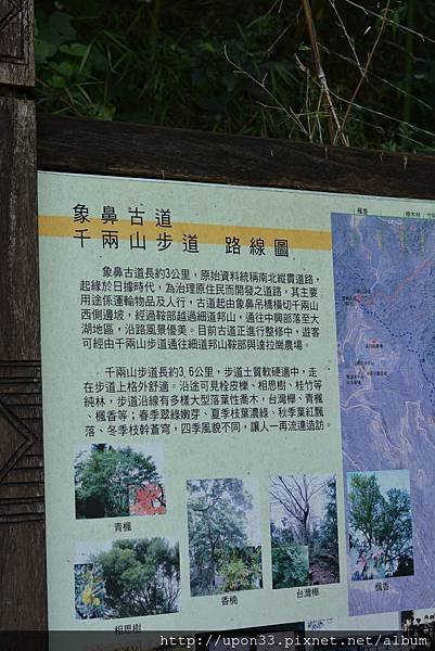 DSC_3219.JPG