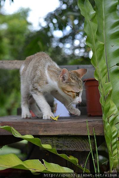 DSC_3295.JPG