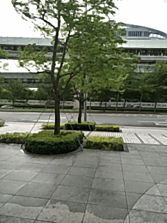 14341884_1408346539180815_284968589_n.gif