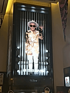 IMG20161204185425.gif