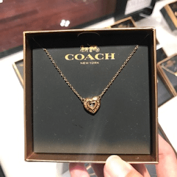 COACH CHAIN