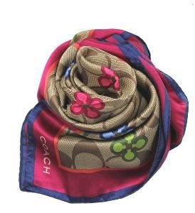Coach 83389 multicolor-1.jpg