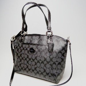 Coach 19816 black-1
