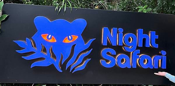 night safari.jpg