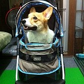IMG_1547.JPG