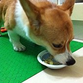 IMG_0068.JPG