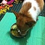 IMG_1050.JPG