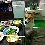 IMG_1037.JPG