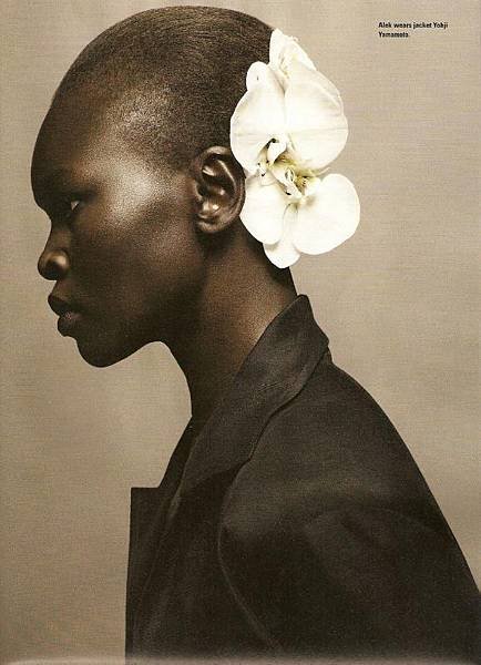 Alek Wek (3)