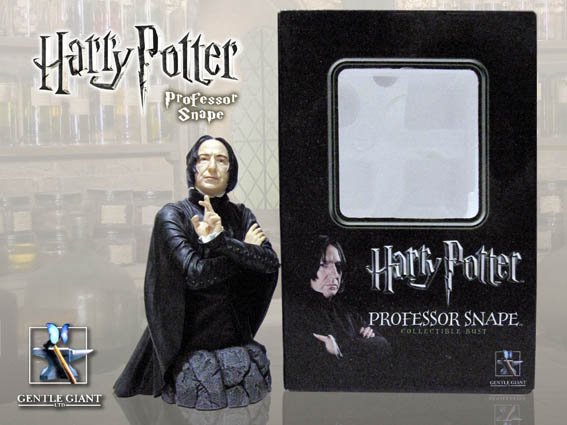 Snape 雕像與包裝盒.jpg