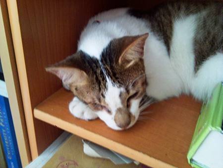 20110612003.jpg