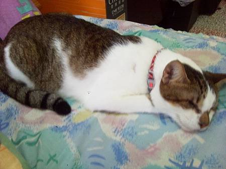 20110804034.jpg