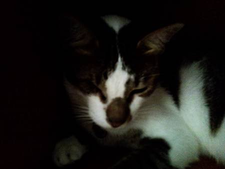 20110612002.jpg