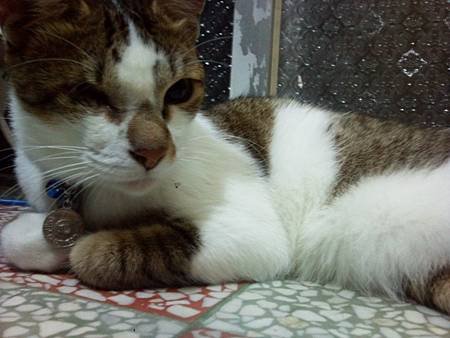 20110713022.jpg