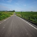 2012_0721_160751(001).jpg