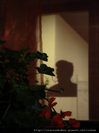 02577-茵特拉根_resize.JPG