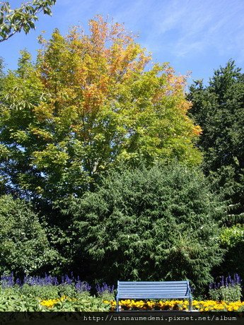 008-00101-夢娜維爾花園_resize.JPG