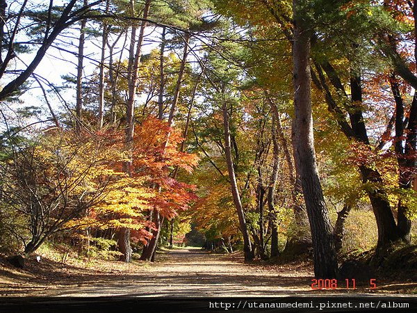 0023-日本東北.JPG