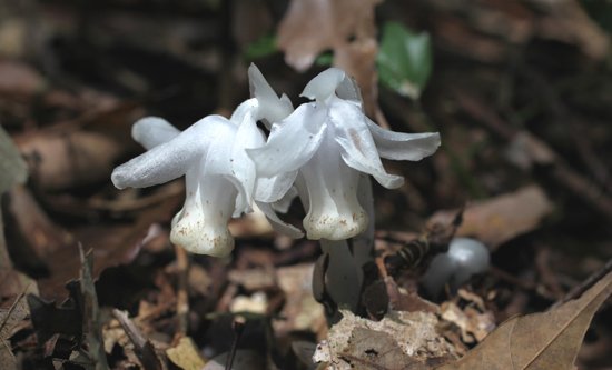 2011031905.jpg