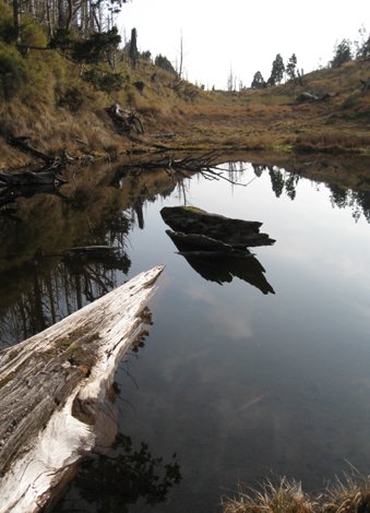 2008031504.jpg