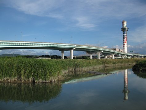 2008080602.jpg