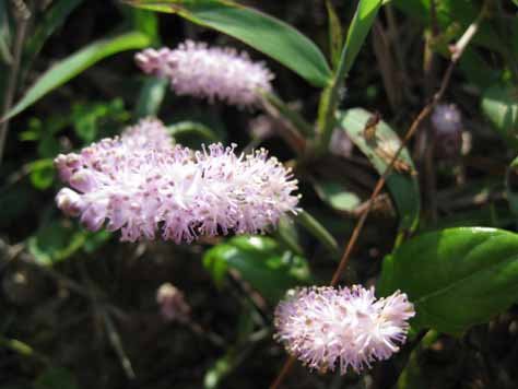 2008100103.jpg