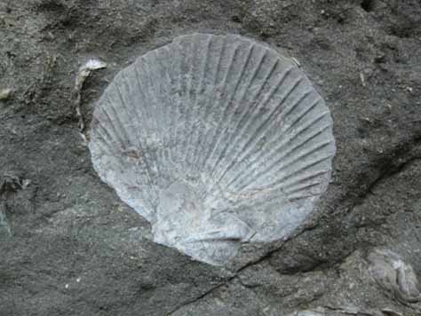 2008100111.jpg
