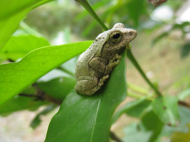 2009052102.jpg