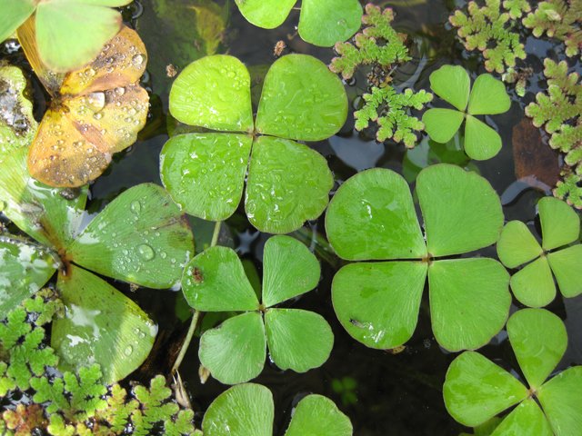 2009052108.jpg