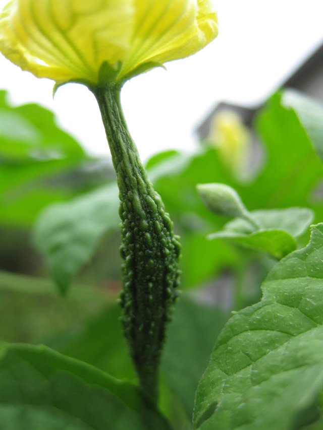 2009052109.jpg