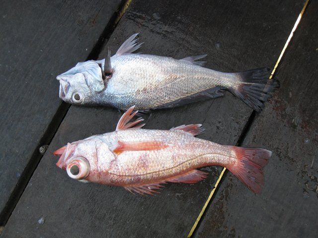 2009052110.jpg